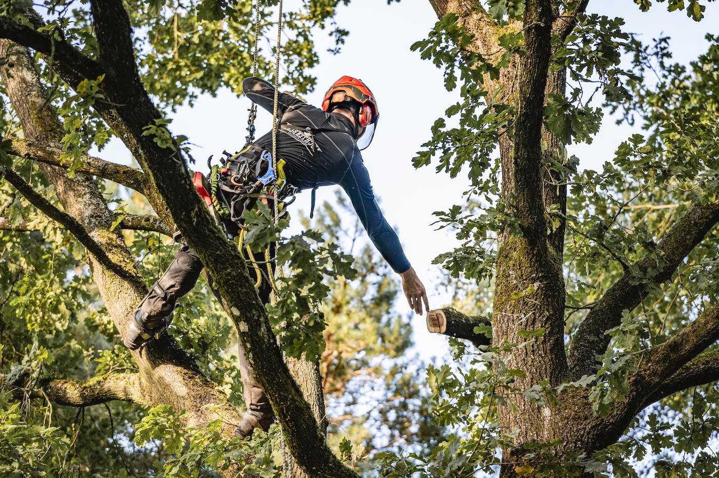 Luchtenberg Final-Edit-16