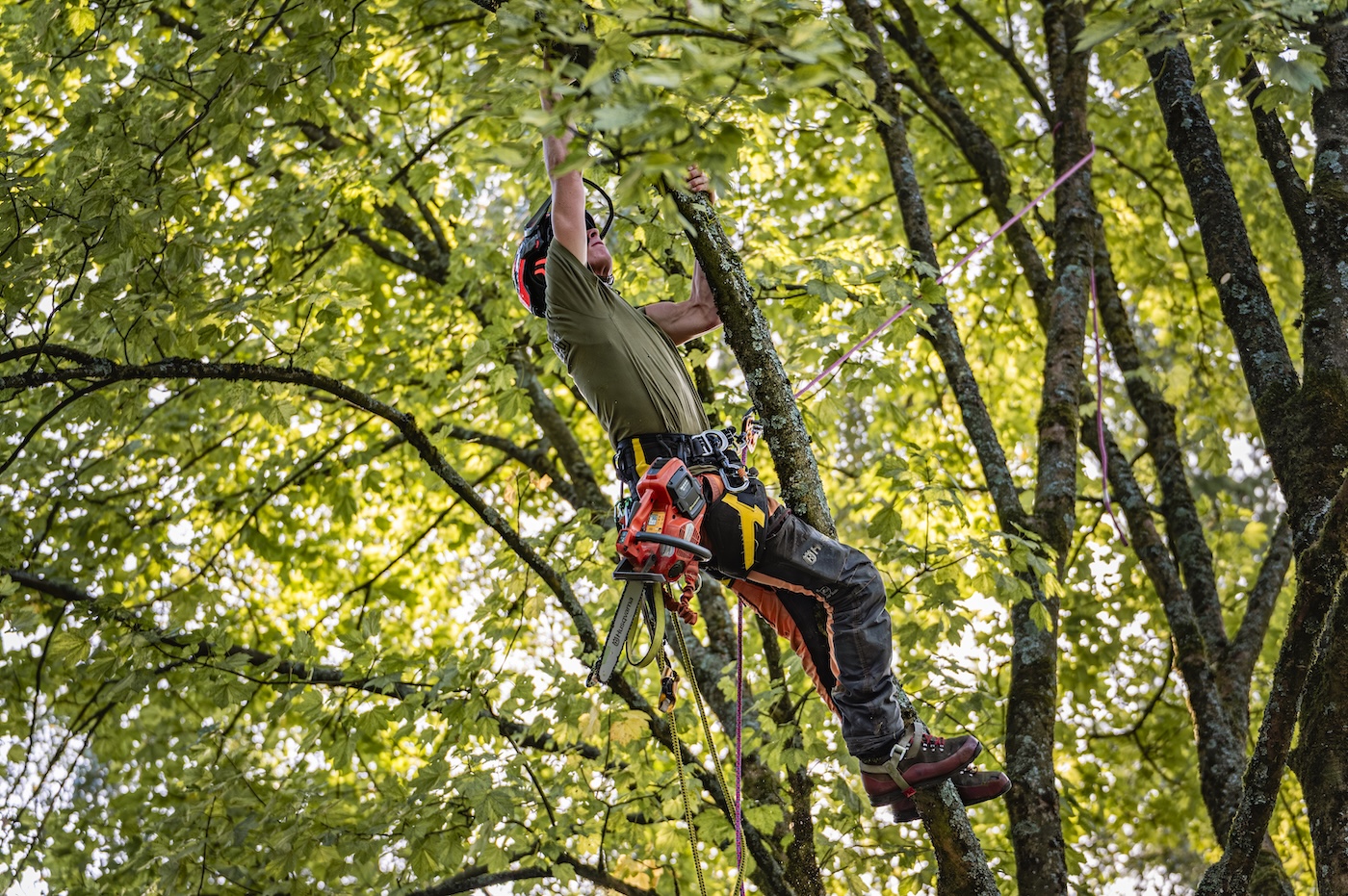 Luchtenberg Final-Edit-36