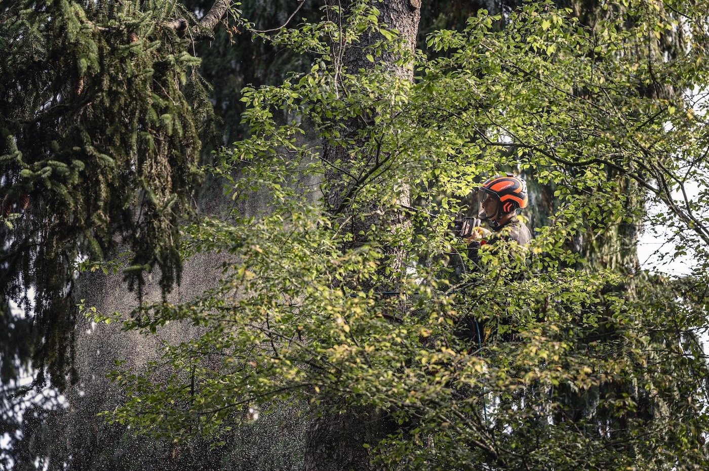 Luchtenberg Final-Edit-75