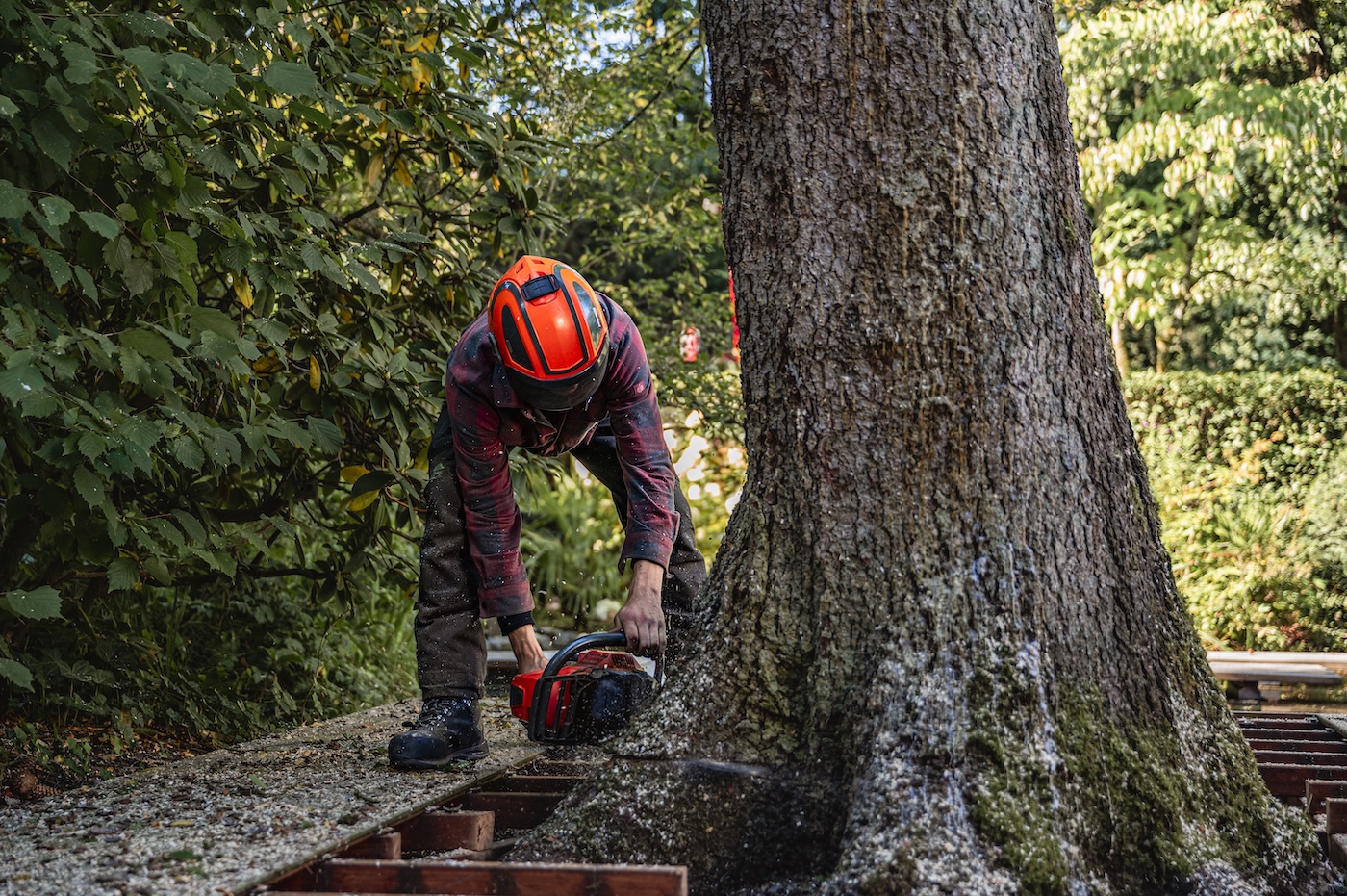 Luchtenberg Final-Edit-86